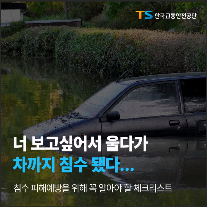 너 보고싶어서 울다가 차까지 침수 됐다
